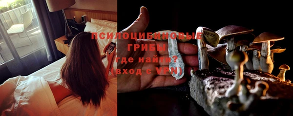стафф Елизово