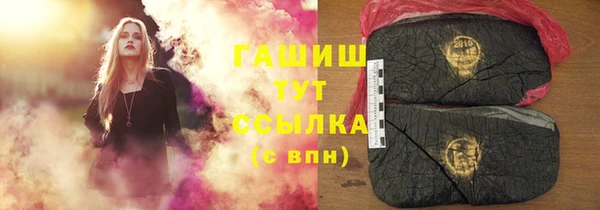 стафф Елизово