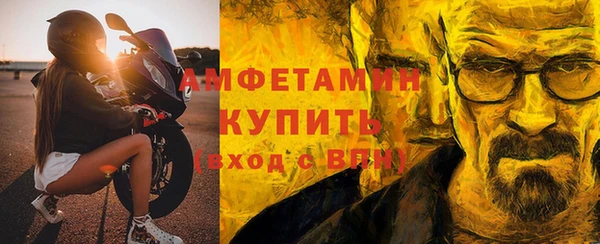 стафф Елизово