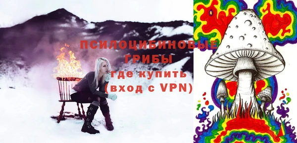 стафф Елизово
