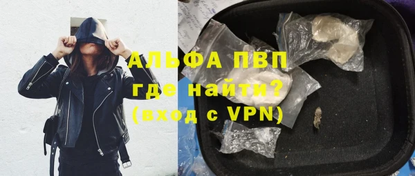 стафф Елизово