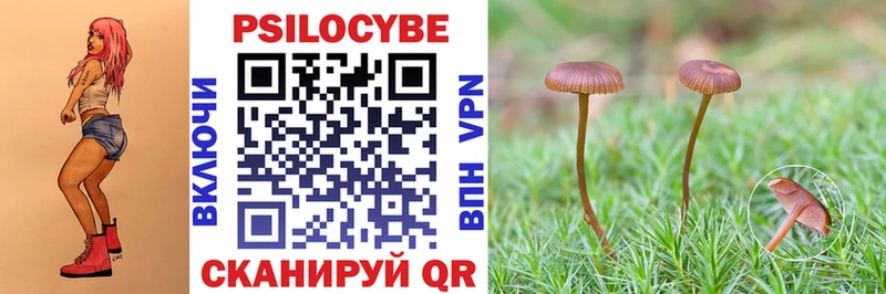 закладка  Энгельс  Галлюциногенные грибы мицелий 
